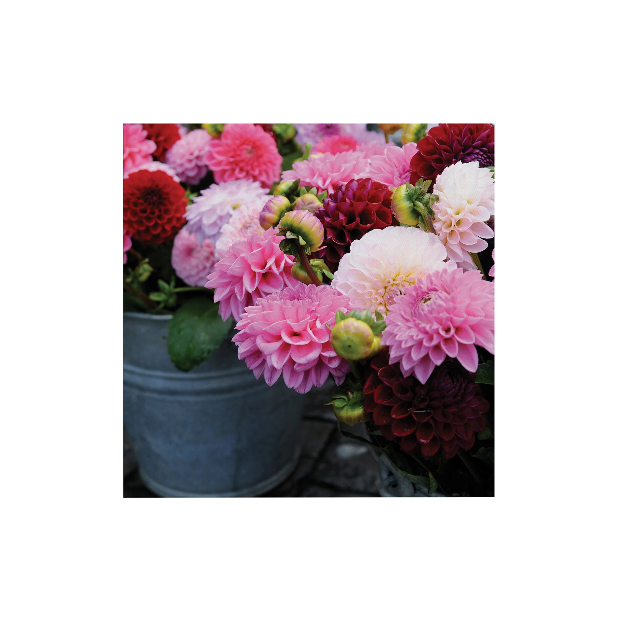 Miniatuur 1