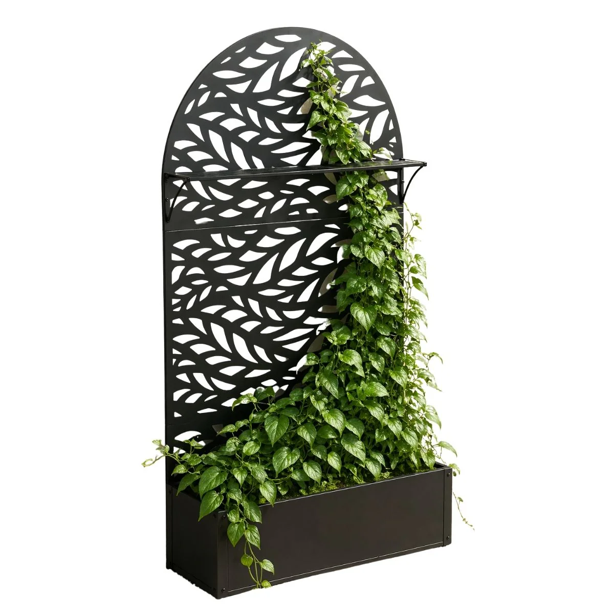 Miniatuur 1