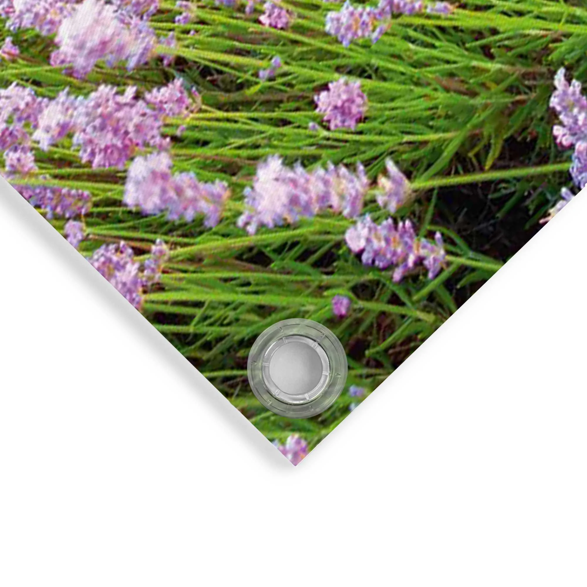 Miniatuur 4